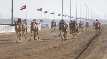 ختام الوثبة ينطلق بمنافسات النسخة الـ47 للحقايق